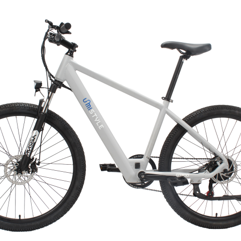 Bicicleta electrica mistyle gris